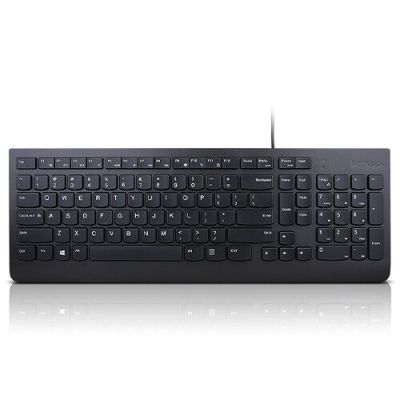 Lenovo Essential toetsenbord Universeel USB QWERTY Scandinavisch Zwart